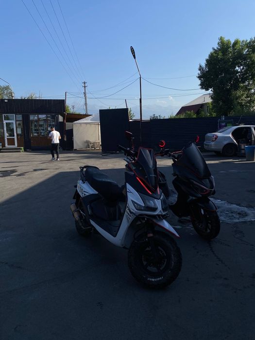 Самурай сатлады багасын келсемыз