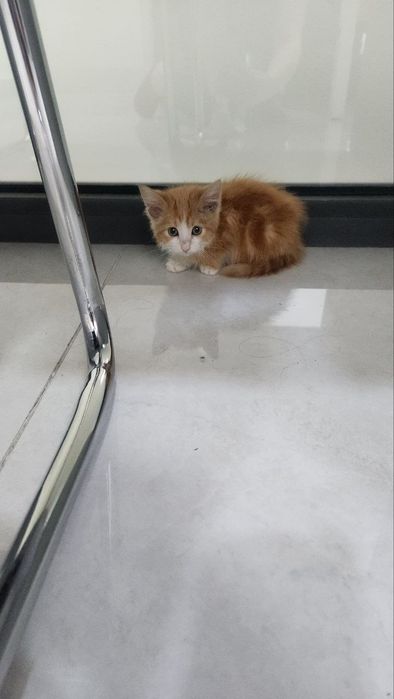 Замечательные малыши ищут свою семью где их будут любить