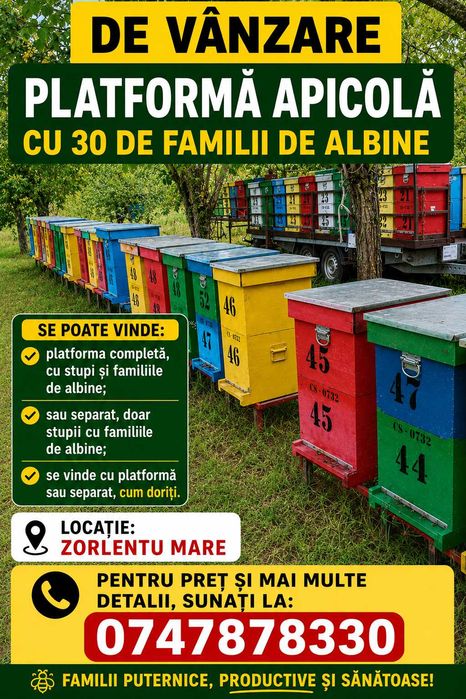 Anunțurile albine