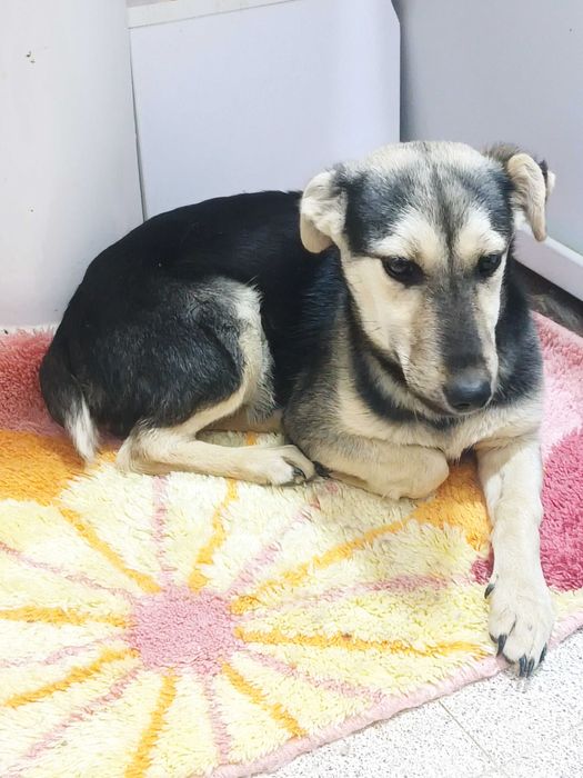 Zara, 6 месяцев, такая умная