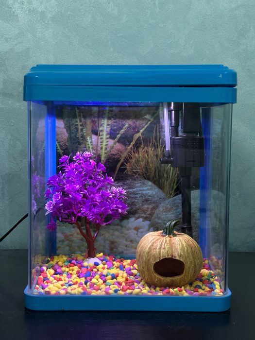 аквариумы новые сборе