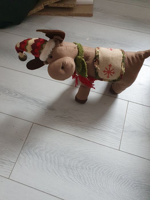 Ren decoratie Craciun