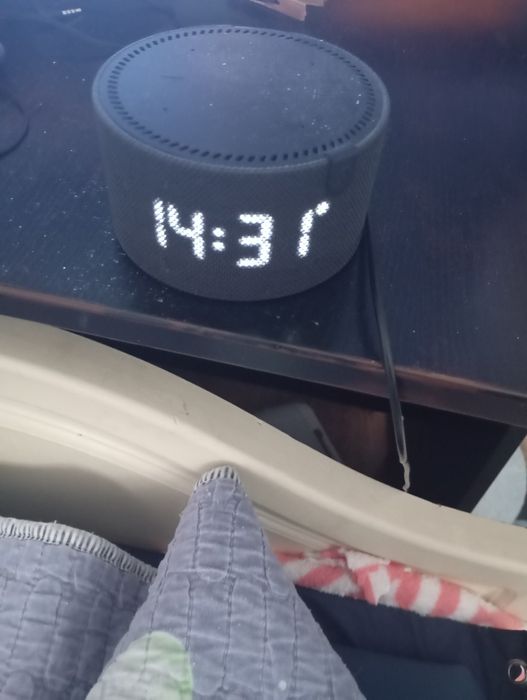 Продаю Алису  нужно