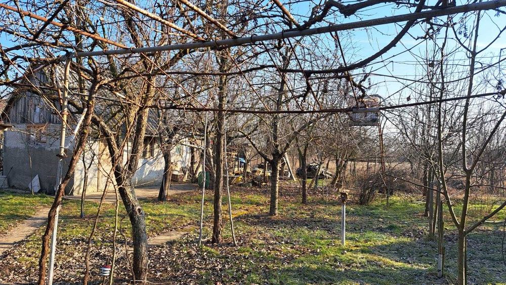 De vânzare loc de casă – Sat Niuved, Comuna Tămășeu