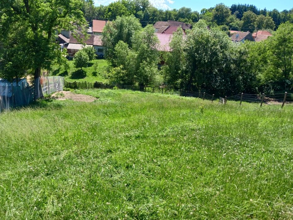 Gradina de vanzare