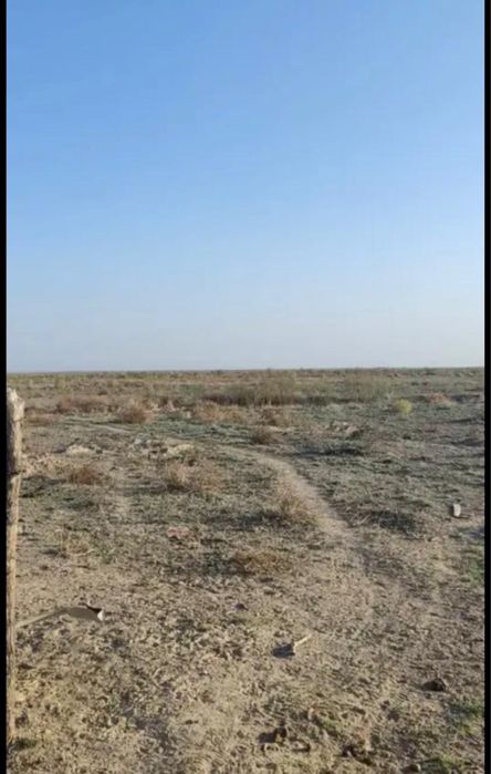 участок 5 га в чундже