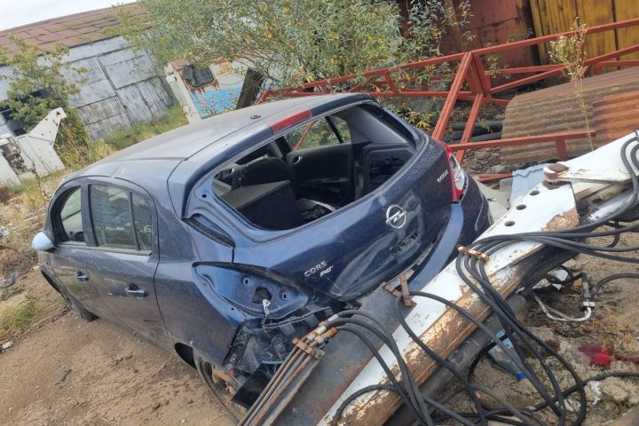 EGR electric Opel Corsa 2011 1.3 CDTi MT (95 hp)