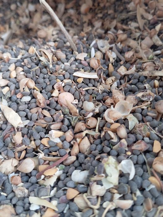 ОТходы ! (Хорошего качества)