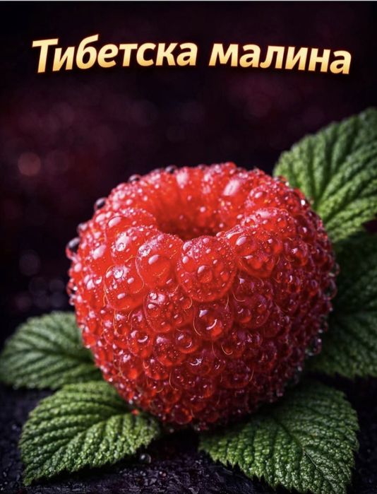 Ягодова малина или мяу мяу