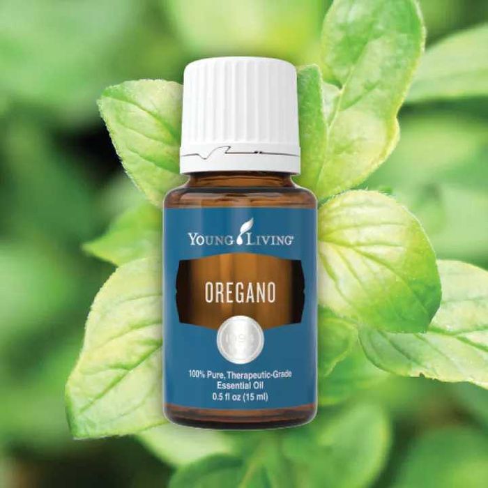 Oregano - Young Living