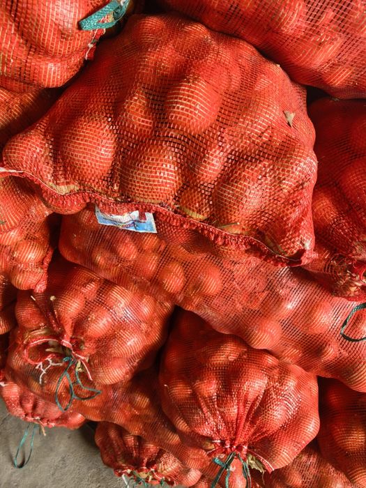 Лук на посадку есть и для еды