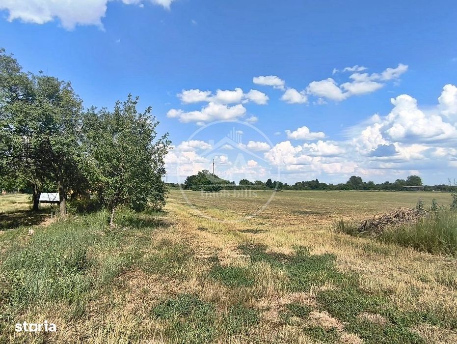 Teren extravilan/intravilan de vânzare in Nufarul, Oradea