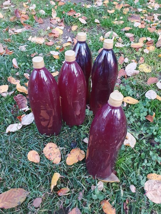 Suc de stuguri natural combinat cu măr