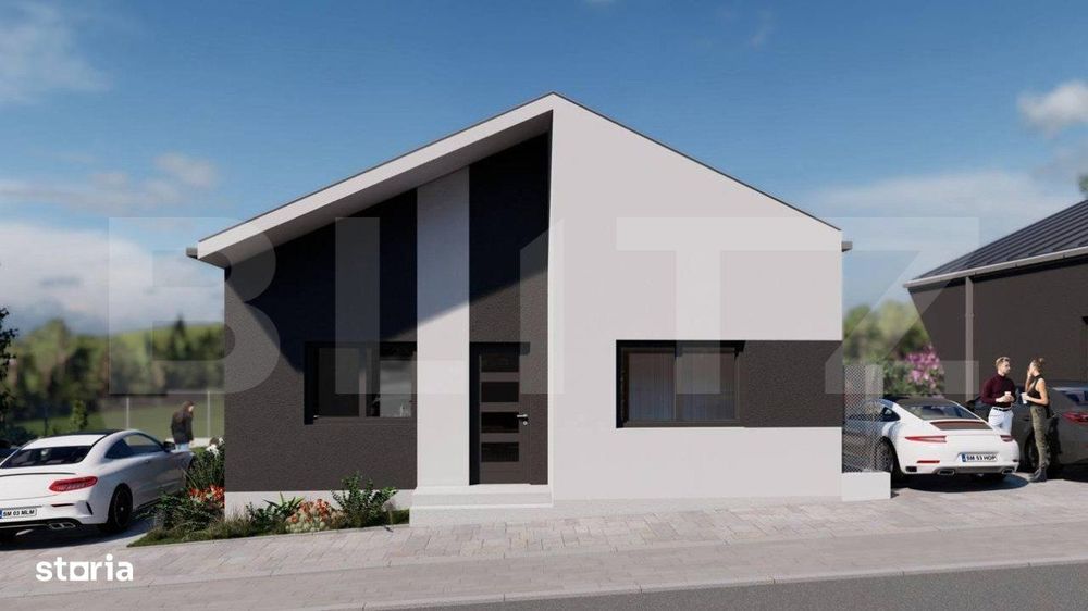 House in Viile Satu Mare - Mai multe