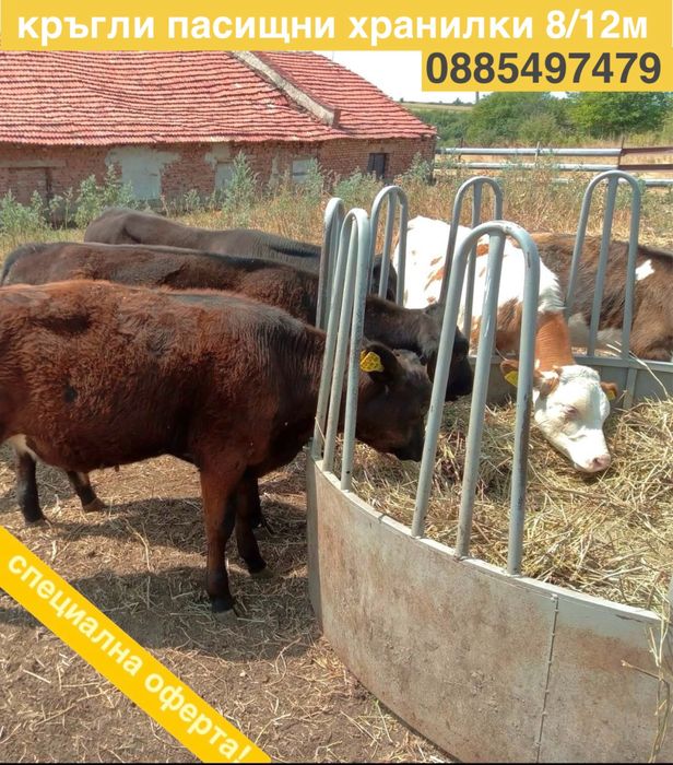 Предлагаме различни видове пасищни хранилки