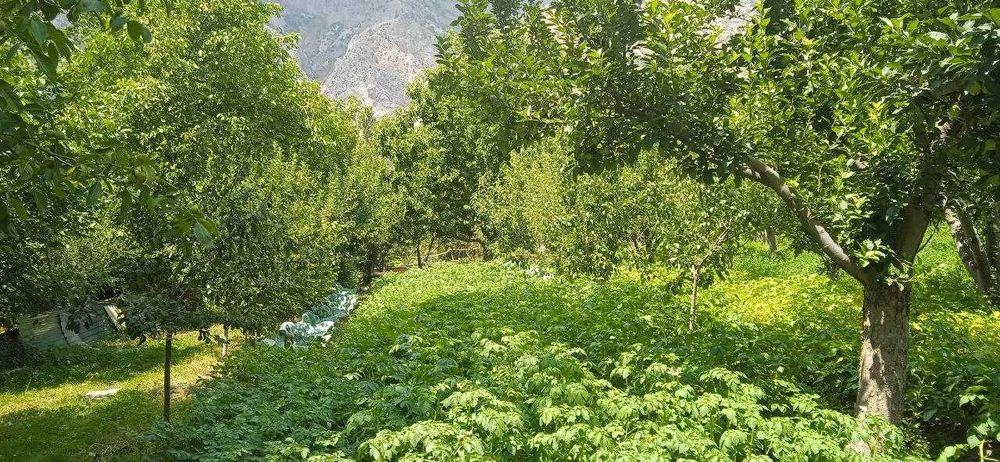 Бустонлык тумани Испай кишлоги