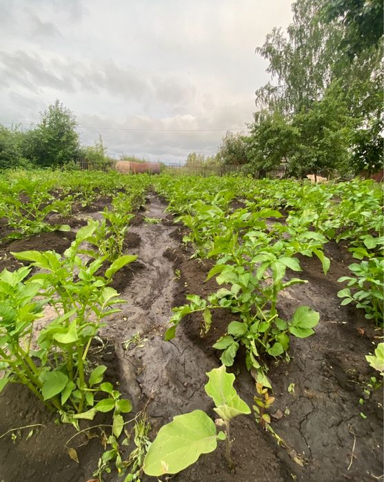Продам Дом с баней район Кривозерки