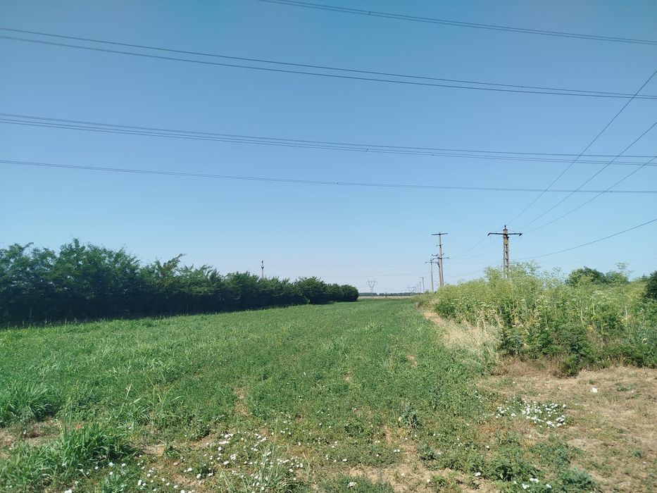 Teren de vânzare