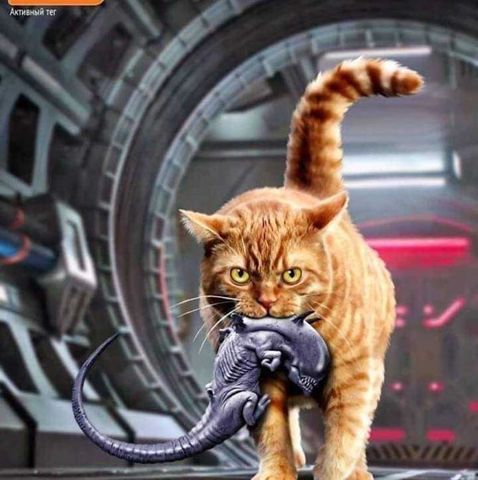 Ghidare psihomecanica