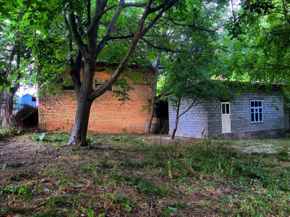 Boʻstonliq tumani sijjak qishlogʻi