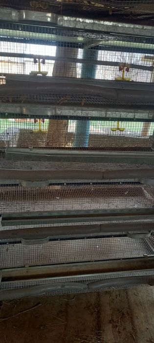 Бөдененің үйі 2 дана сатылады