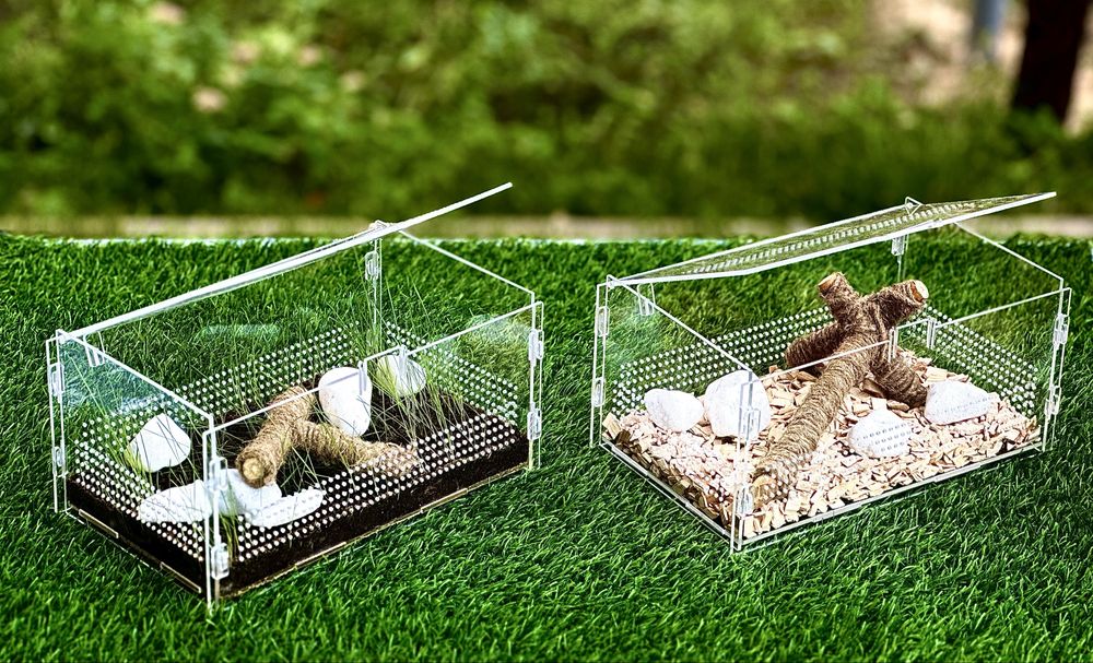 ТЕРРАРИУМ -  сухой аквариум