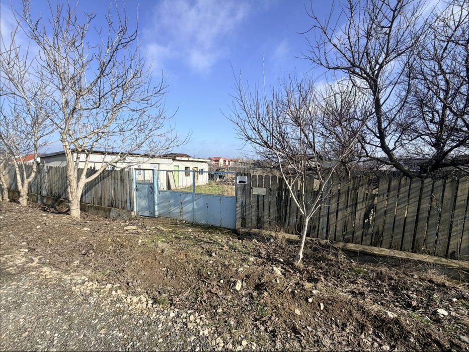 Teren 830m Costinesti