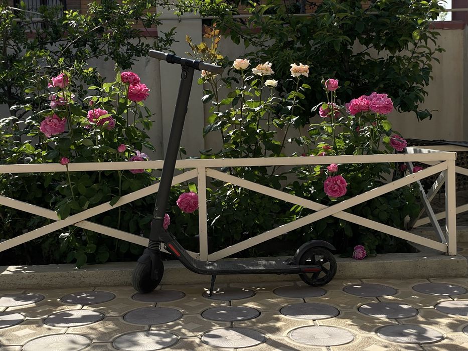 Ninebot KickScooter ES1