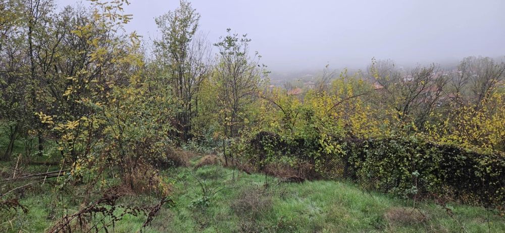 Продава се Къща в с. Пресяка, Област Ловеч - 60 кв.м за 170 €/кв.м - Снимка #10