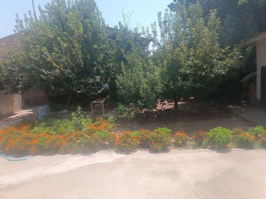 Hovli sotiladi 
4 sotix
4 xona
Bez rimont
Rayon shayxontohur durjba  s