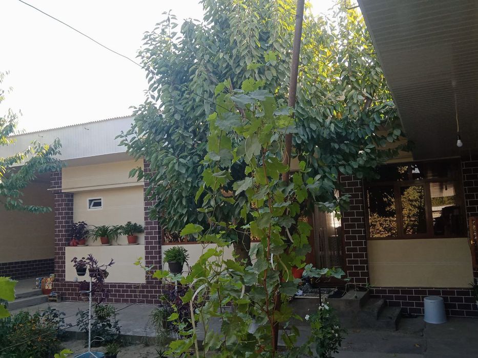 Xalol uy joy savdosi