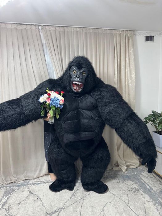 Аниматоры на выезд