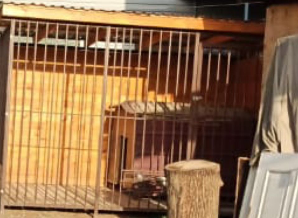 Вольер для крупной собаки