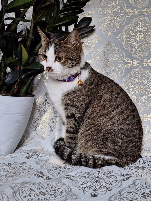 Только самым ответственным