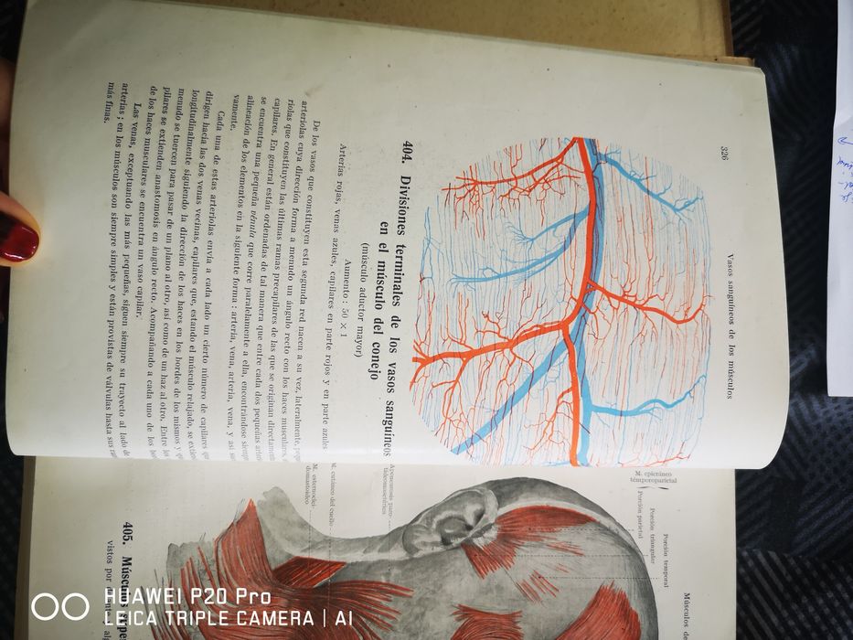 Учебник Esperantologio, физиология и атласи по анатомия на испански