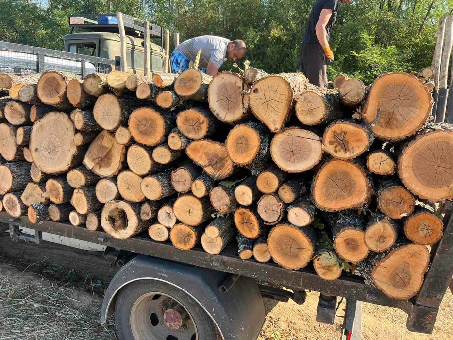 Дърва за огрев Дъб Бук