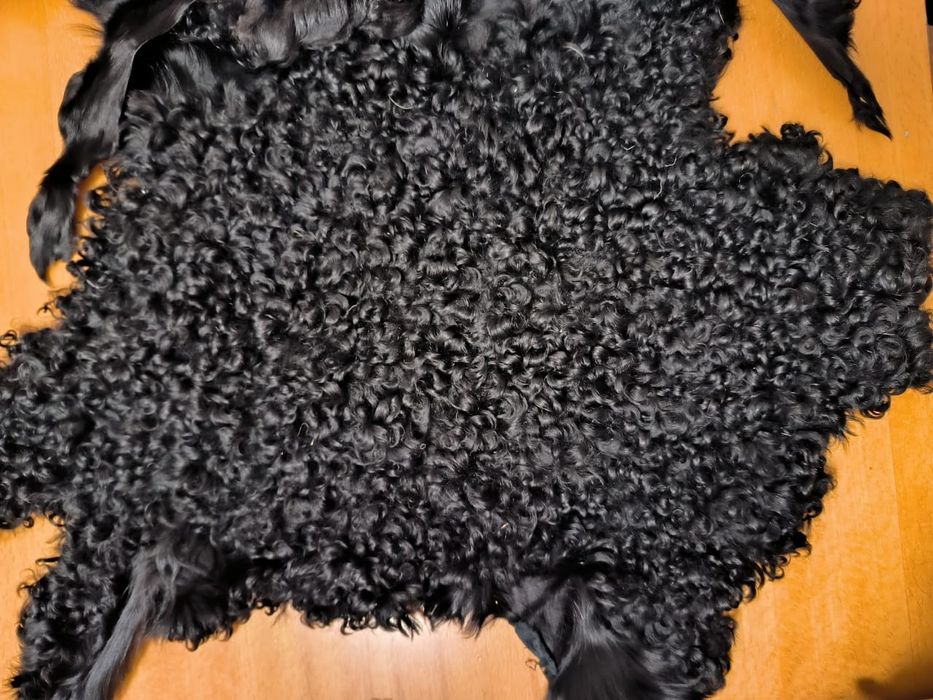 Шкурки лиса и каракуль черного цвета