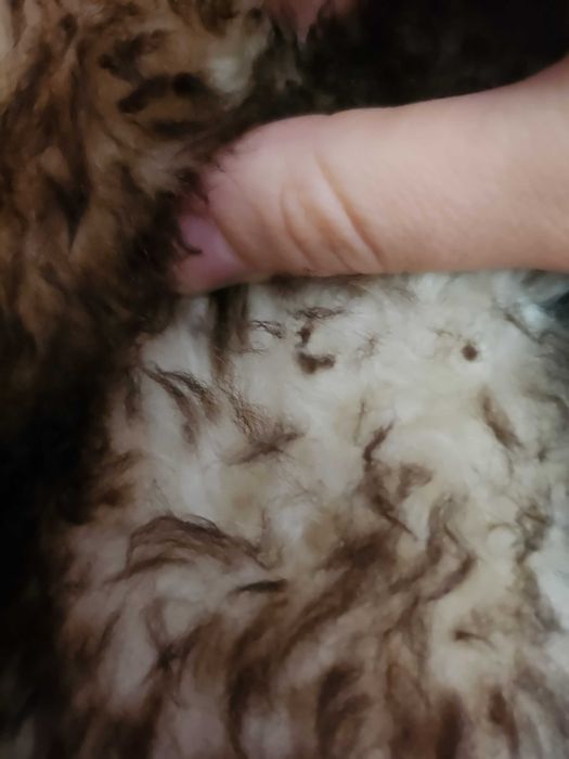 Haina vintage de blana si piele naturala