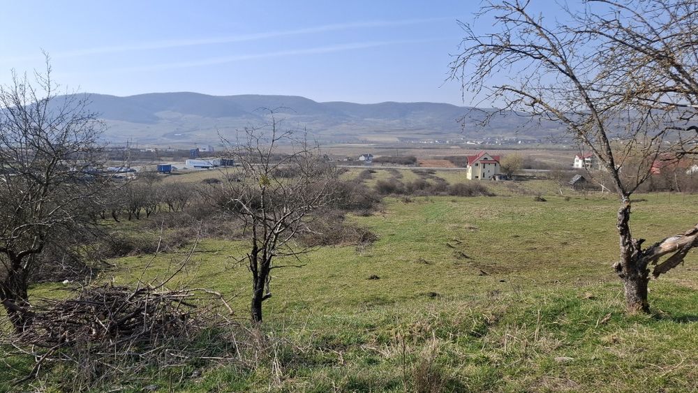 Teren intravilan zona Crainimat la stradă