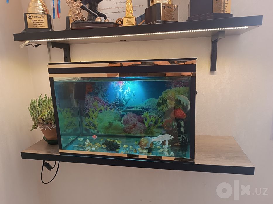 Akvarium sotiladi