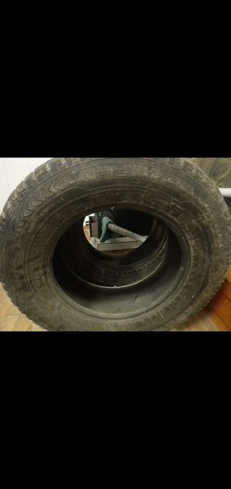 Шины зимние шипованные