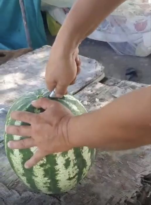 Семена арбуза ХАНЗАР