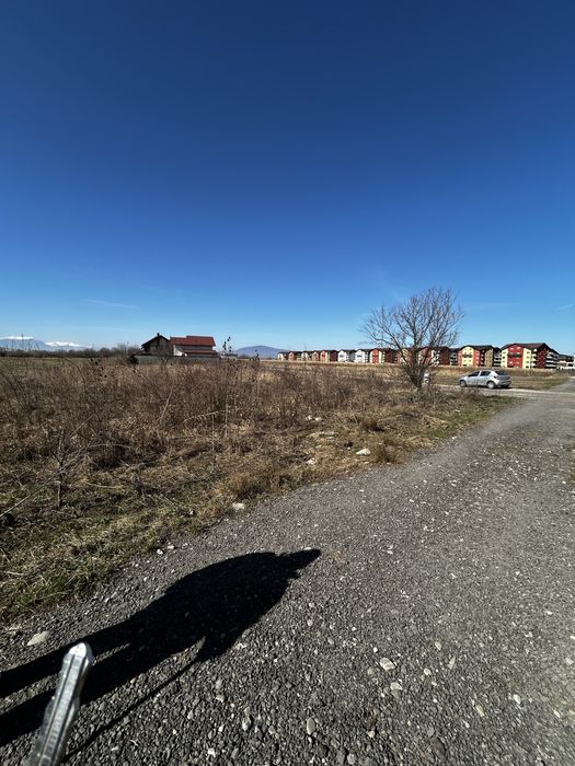 Teren de vanzare drumul cu plopi