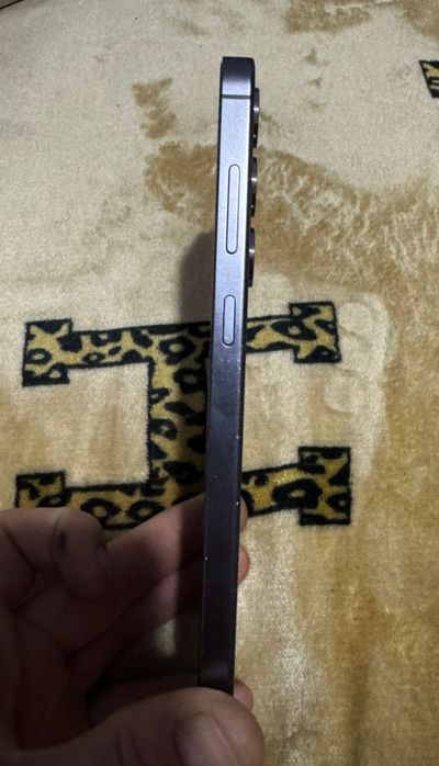 Самсунг с 24 + 12_256 ГБ