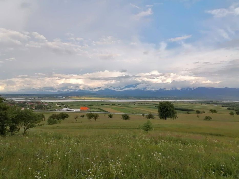 Teren de vânzare 2200mp extravilan, Bradu/sibiu