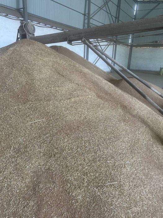 Bugdoy, Бугдой, соя шрот катта обьем