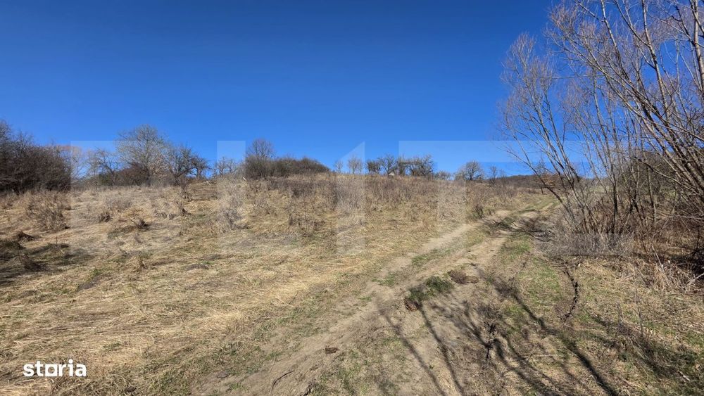 Teren de vanzare de 8,567MP in zona: Tarpiului