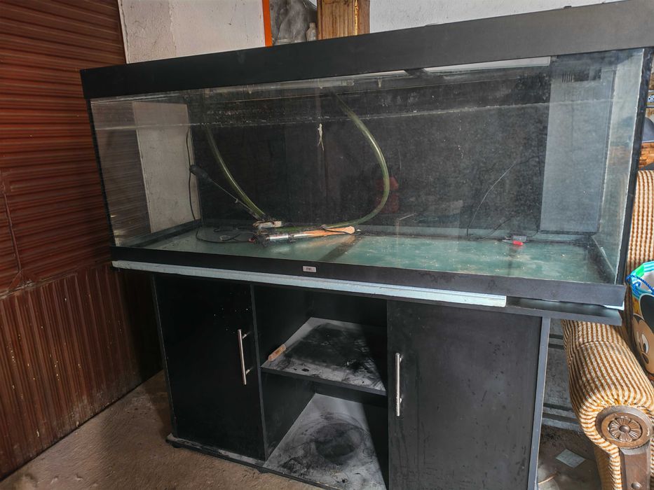 Акварйум 150,50,55
