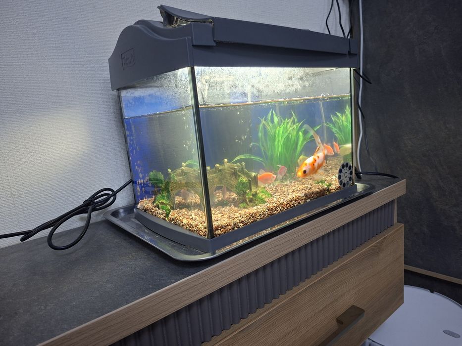 Аквариум 30литр с рыбами