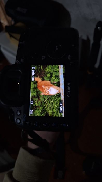 Canon 5D mark 3 обмен или продажа